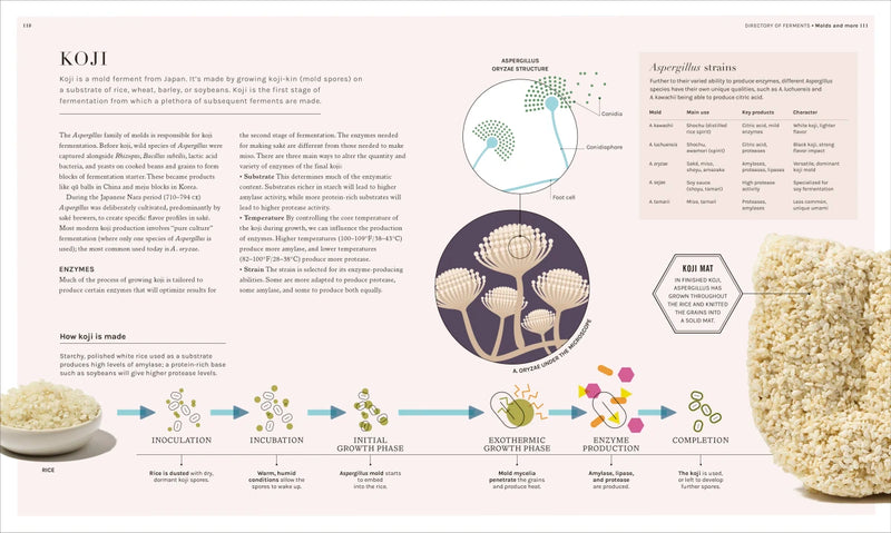 The Science of Fermentation US - Hardback