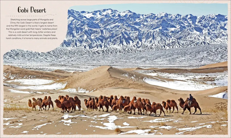 Desert US - Hardback