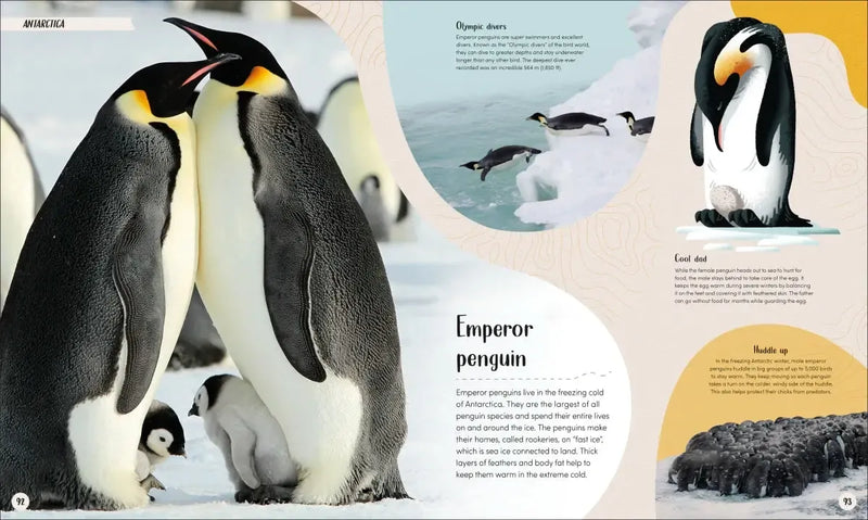 Desert US - Hardback