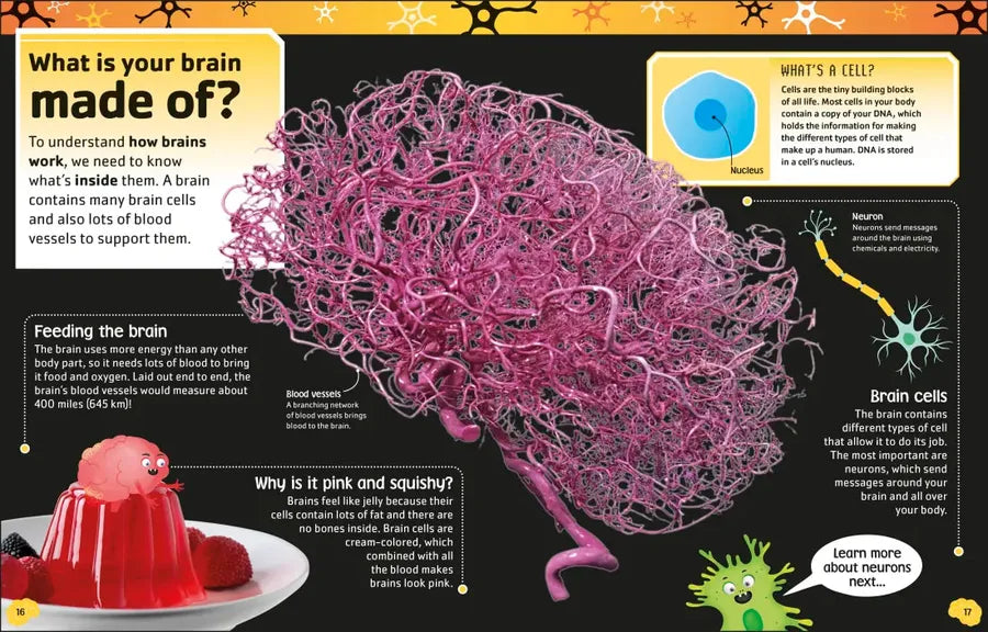 The Brain Book US - Paperback / softback