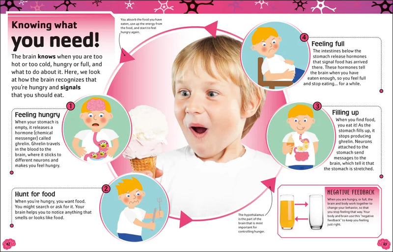 The Brain Book US - Paperback / softback