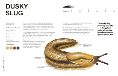 Slugs: Friend or Foe? US - Hardback