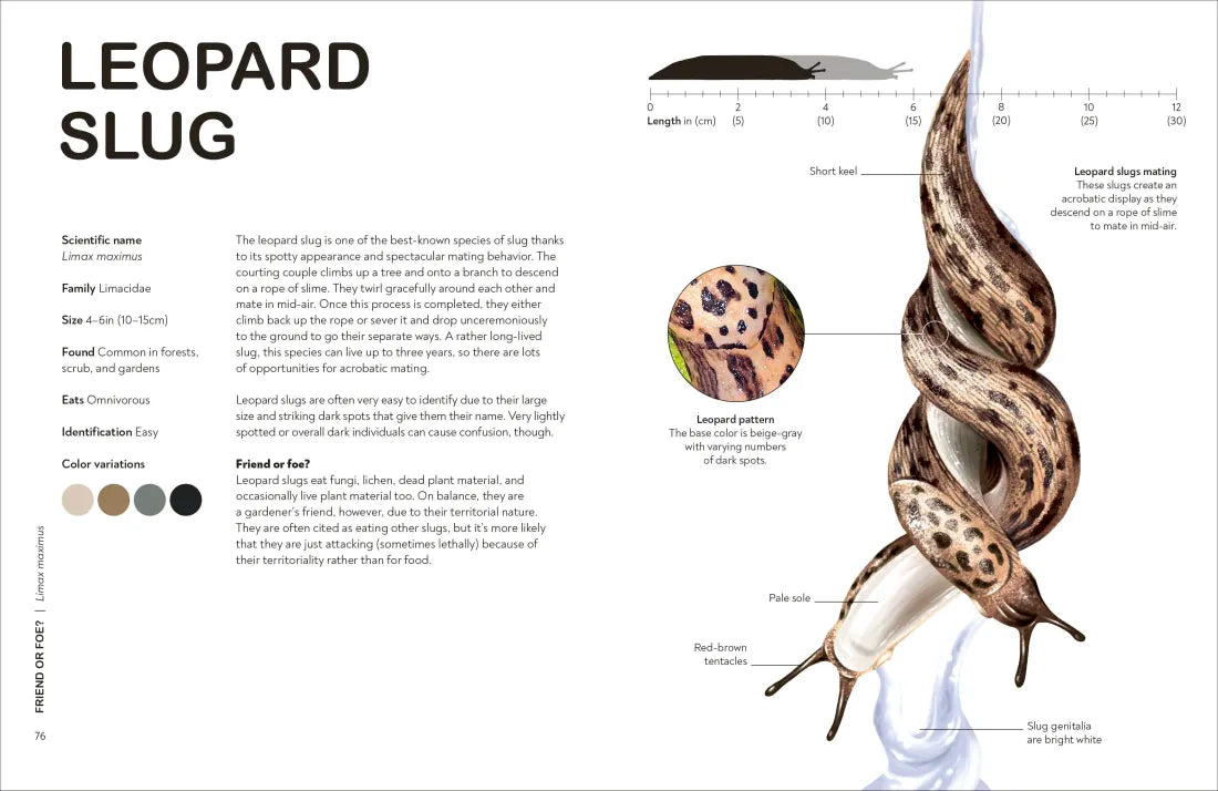 Slugs: Friend or Foe? US - Hardback