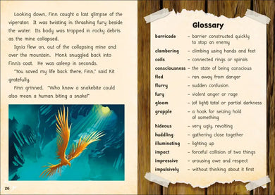 Phonic Books Amber Guardians Bindup US - Hardback
