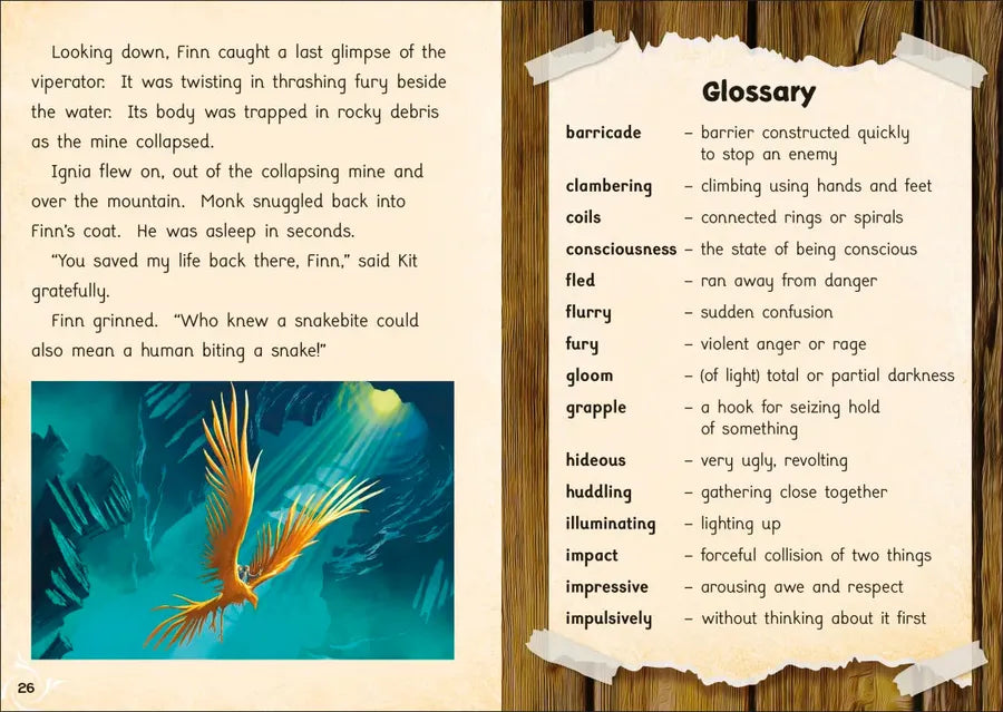 Phonic Books Amber Guardians Bindup US - Hardback
