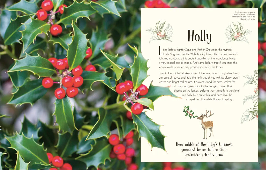 An Anthology of Christmas US - Hardback