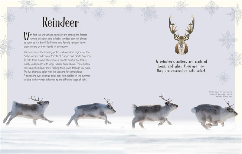 An Anthology of Christmas US - Hardback