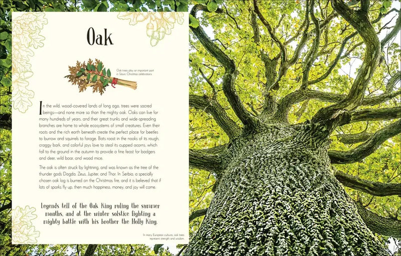 An Anthology of Christmas US - Hardback