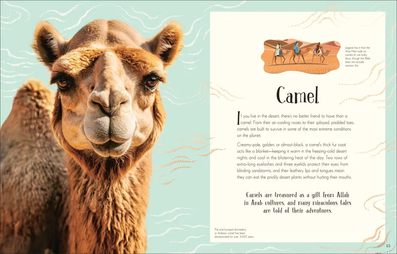 An Anthology of Christmas US - Hardback