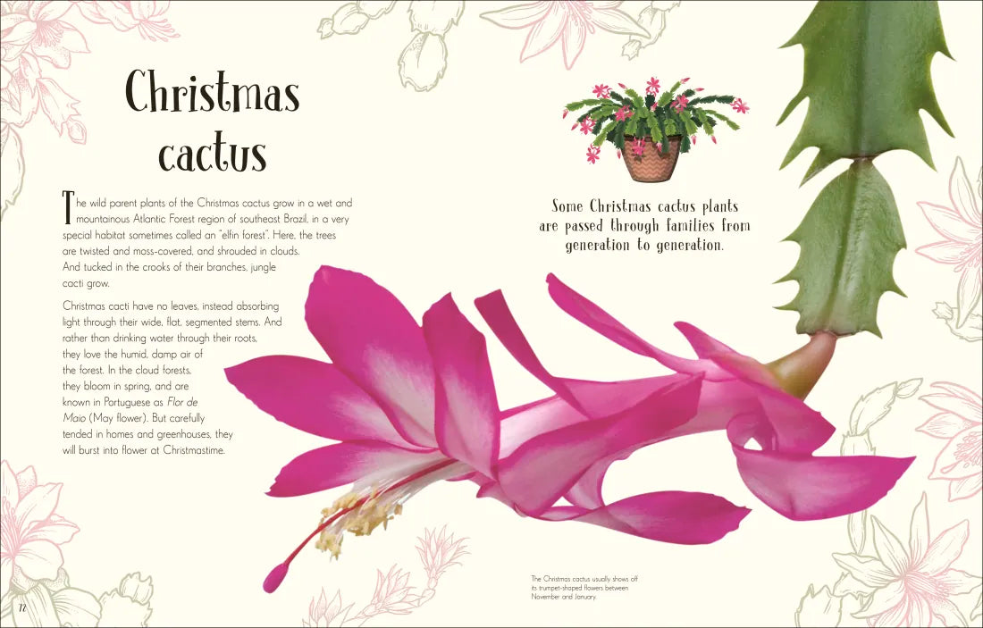 An Anthology of Christmas US - Hardback