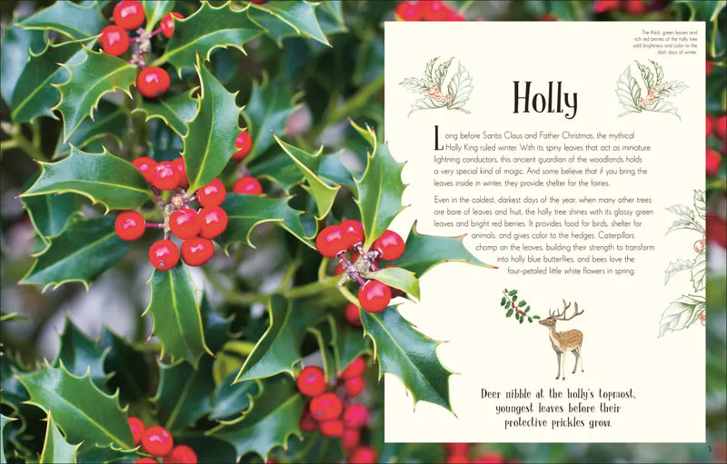 An Anthology of Christmas US - Hardback