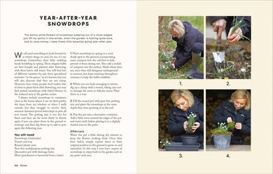 The Money-Saving Gardener Containers US - Hardback