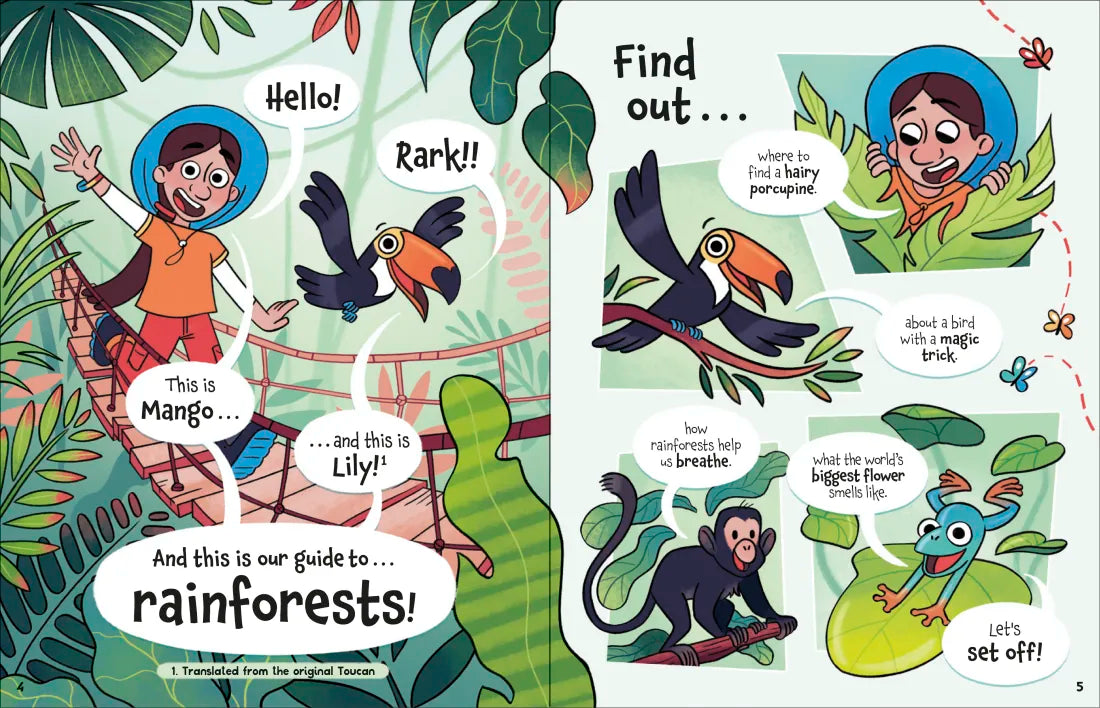 The Fact-Finders Rainforest GB - Paperback / softback