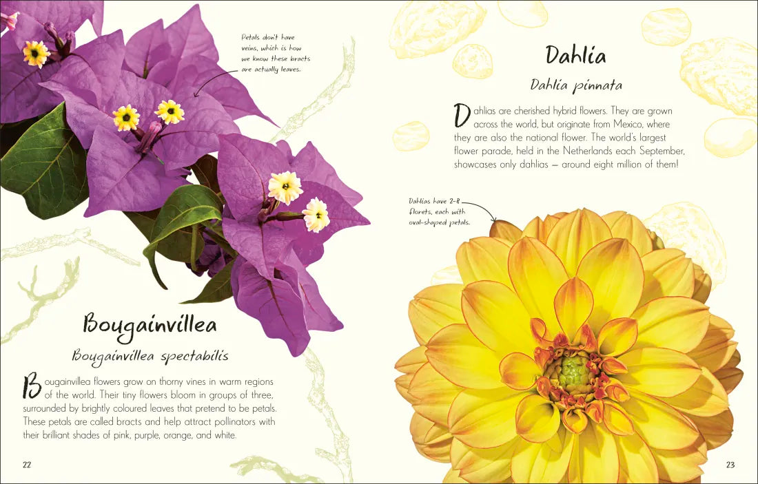 An Anthology of Flowers GB - Hardback