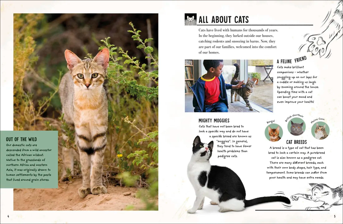 My Cat US - Book