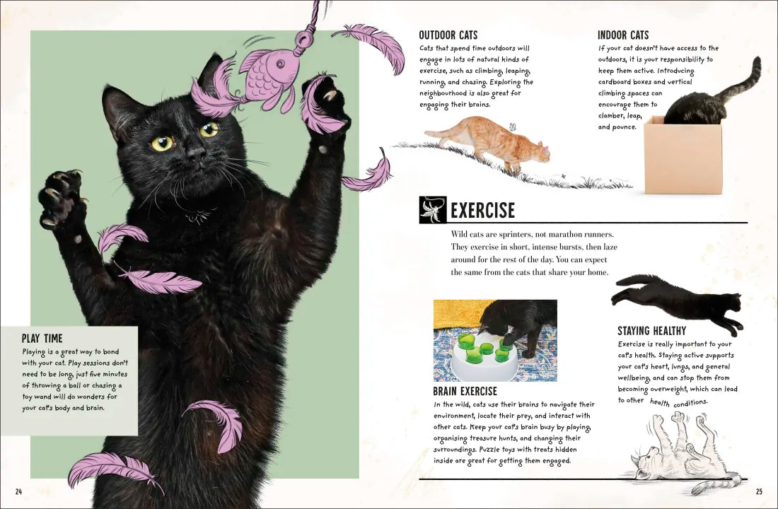 My Cat US - Book