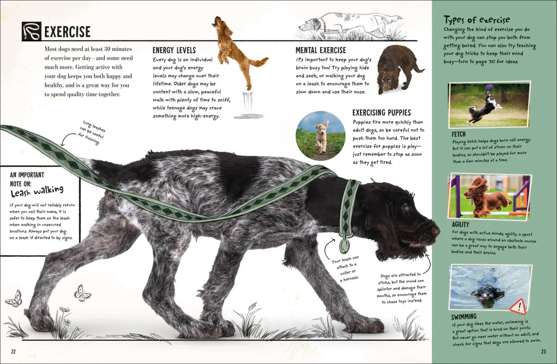 My Dog US - Book