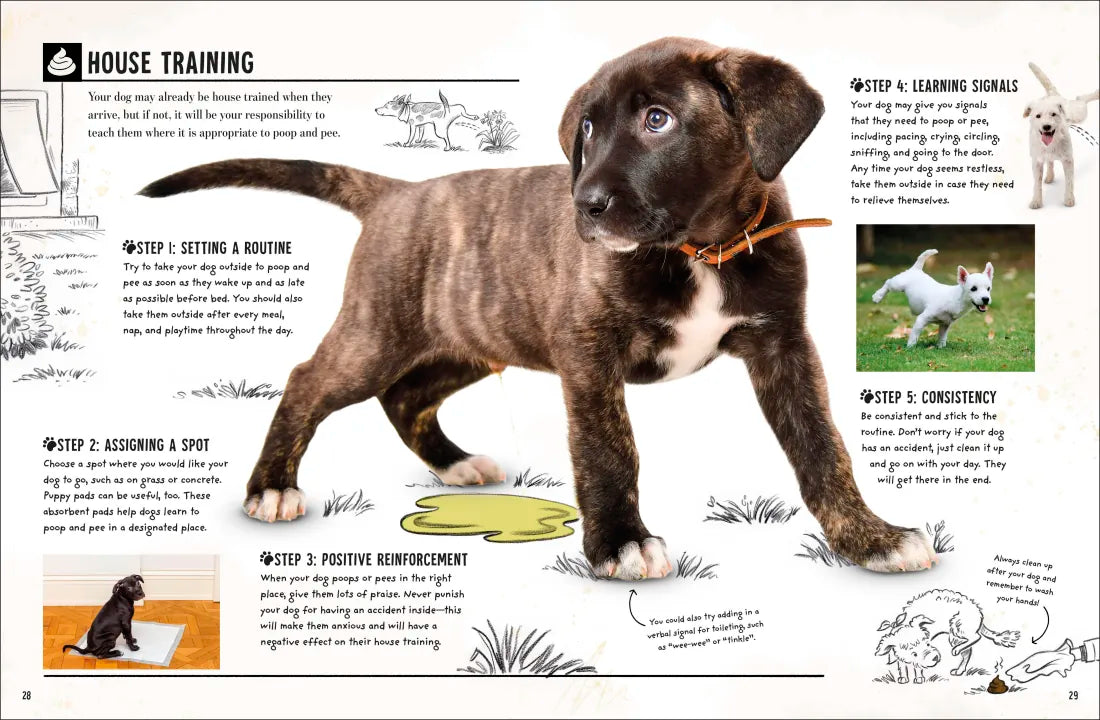 My Dog US - Book