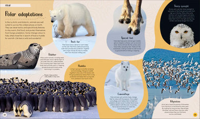 Polar US - Hardback