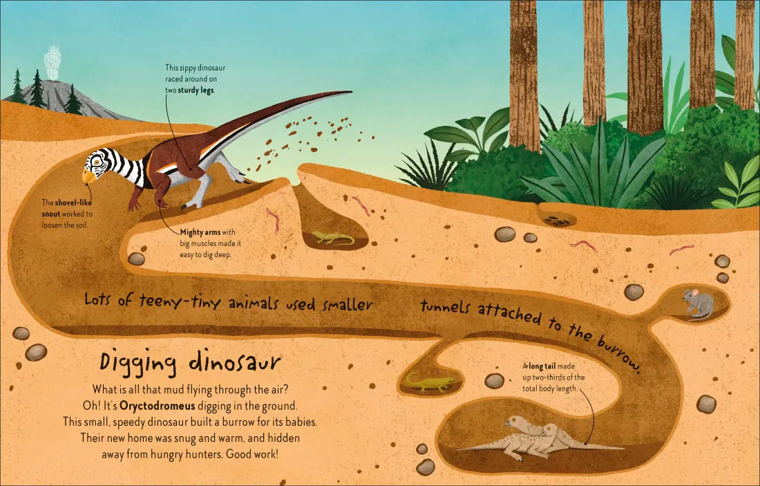 Time to Explore Dinosaurs US - Hardback