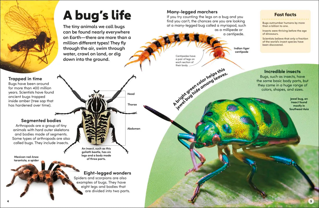 Eyewonder Bugs GB - Hardback