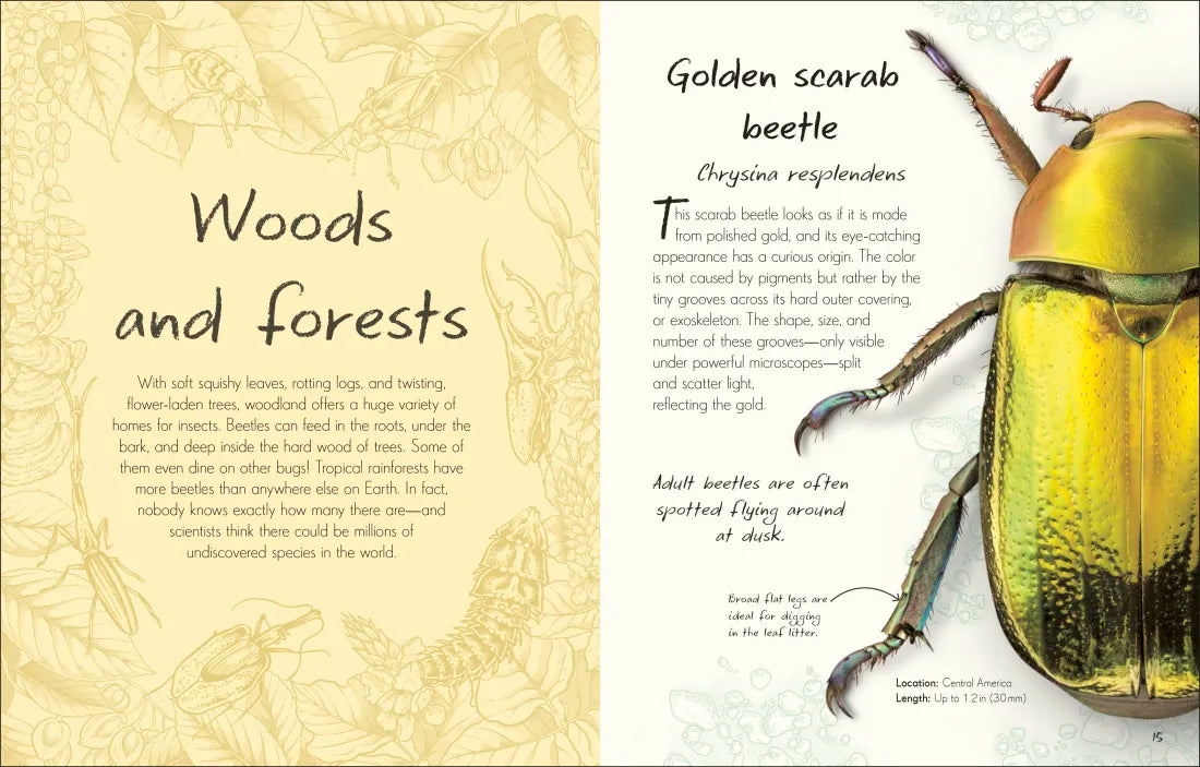 An Anthology of Beetles GB - Hardback