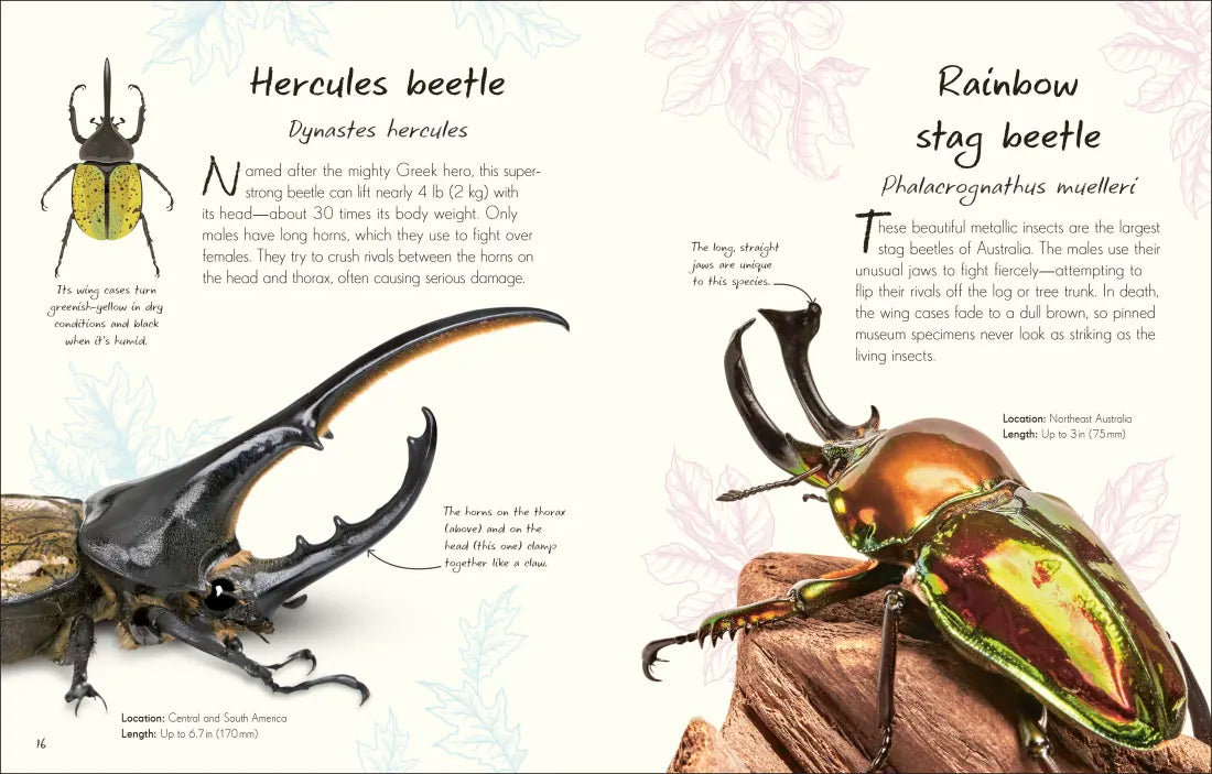 An Anthology of Beetles GB - Hardback
