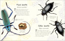 An Anthology of Beetles GB - Hardback
