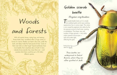An Anthology of Beetles US - Hardback