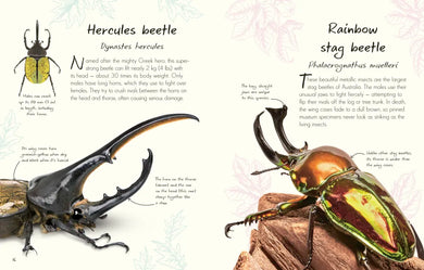 An Anthology of Beetles US - Hardback