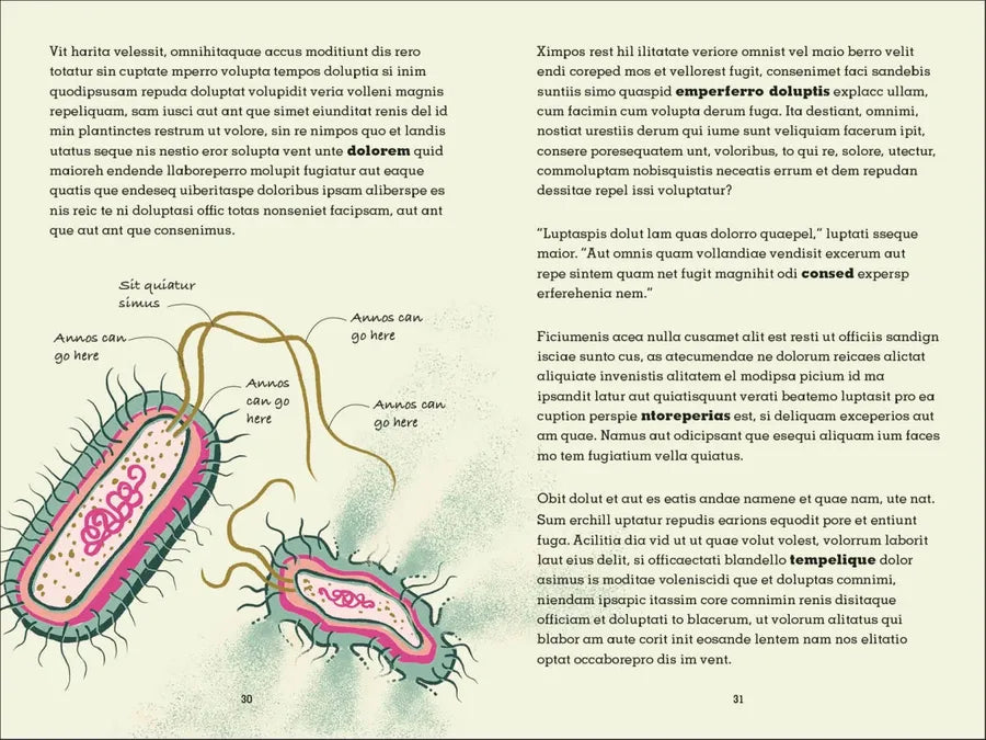 Project Penicillin US - Paperback / softback