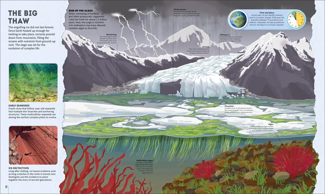 Planet Earth: A 4.5 Billion Year Story US - Hardback