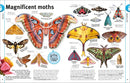 Our World in Pictures Bugs, Butterflies, Beetles and Bees US - Hardback