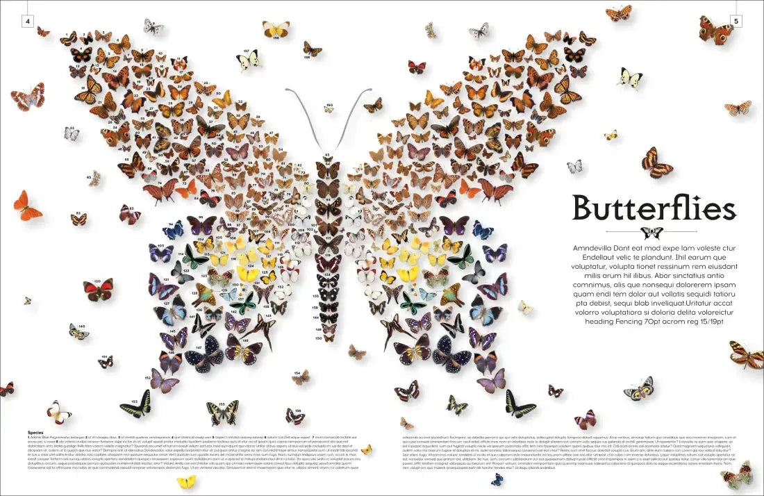 Shapes of Nature US - Hardback