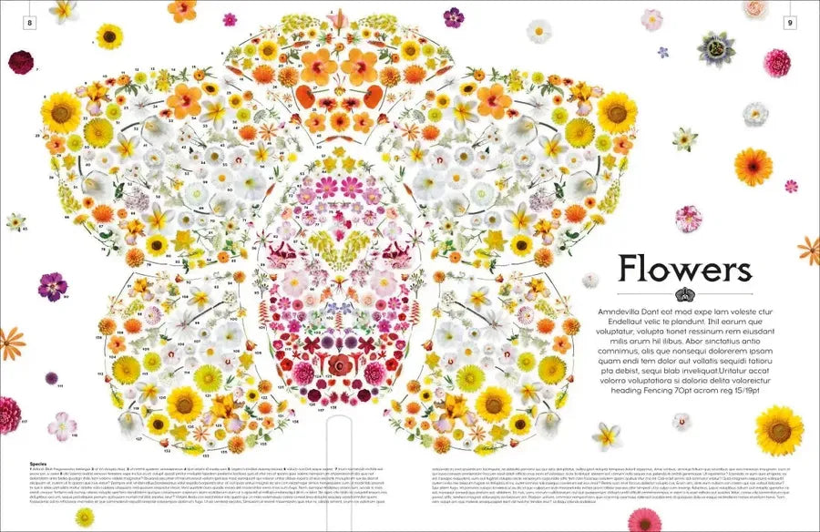 Shapes of Nature US - Hardback
