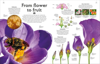 Shapes of Nature US - Hardback
