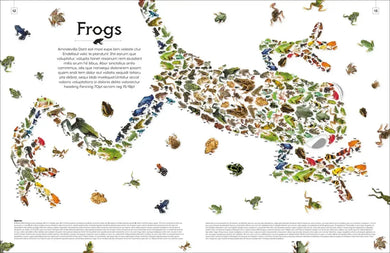 Shapes of Nature US - Hardback