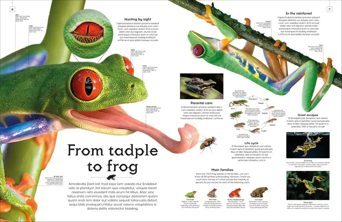 Shapes of Nature US - Hardback