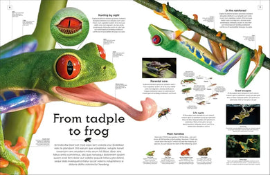 Shapes of Nature US - Hardback