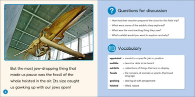 Phonic Books Lift Off Readers Vowel Teams, Diphthongs, and Silent Letters US - Multiple-component retail product, boxed