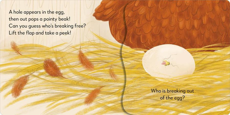 Pop-up Peekaboo! Chick US - Board book