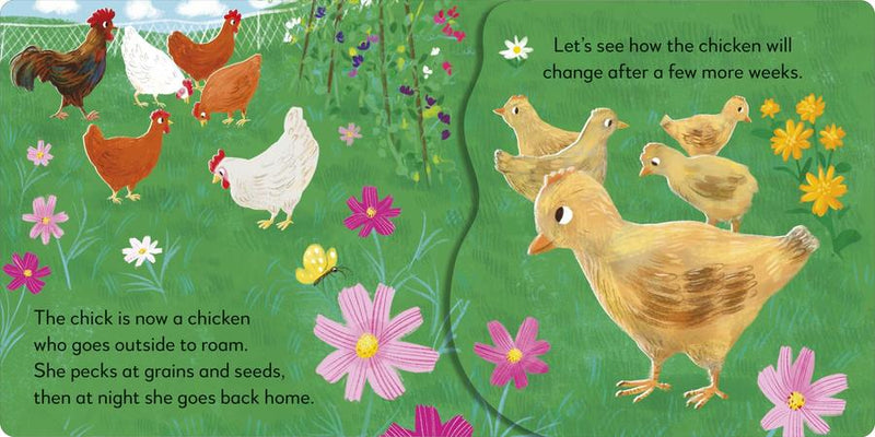 Pop-up Peekaboo! Chick US - Board book