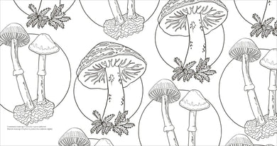 Fascinating Fungi US - Paperback / softback