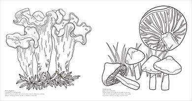 Fascinating Fungi US - Paperback / softback