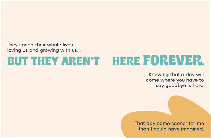 A Kids Book About Pets and Love US - Hardback