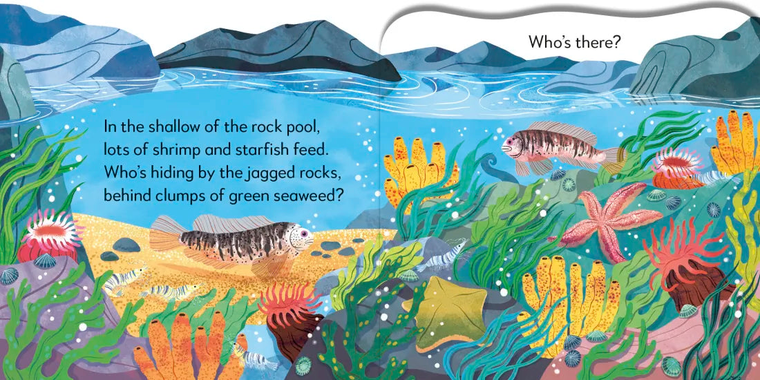 Pop-Up Peekaboo! Seashore US - Board book