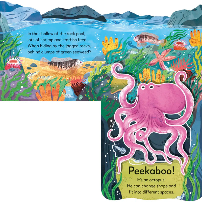Pop-Up Peekaboo! Seashore US - Board book
