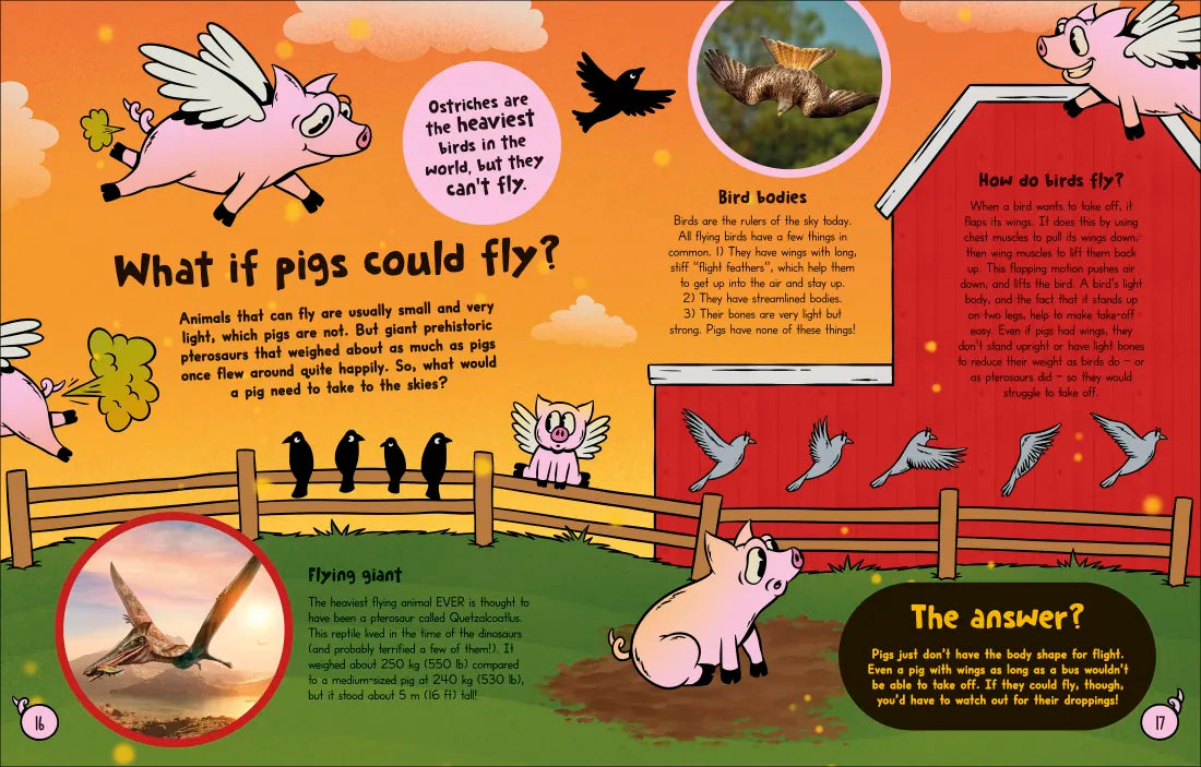 What If... Pigs Could Fly? US - Hardback