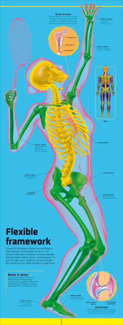 Body US - Hardback