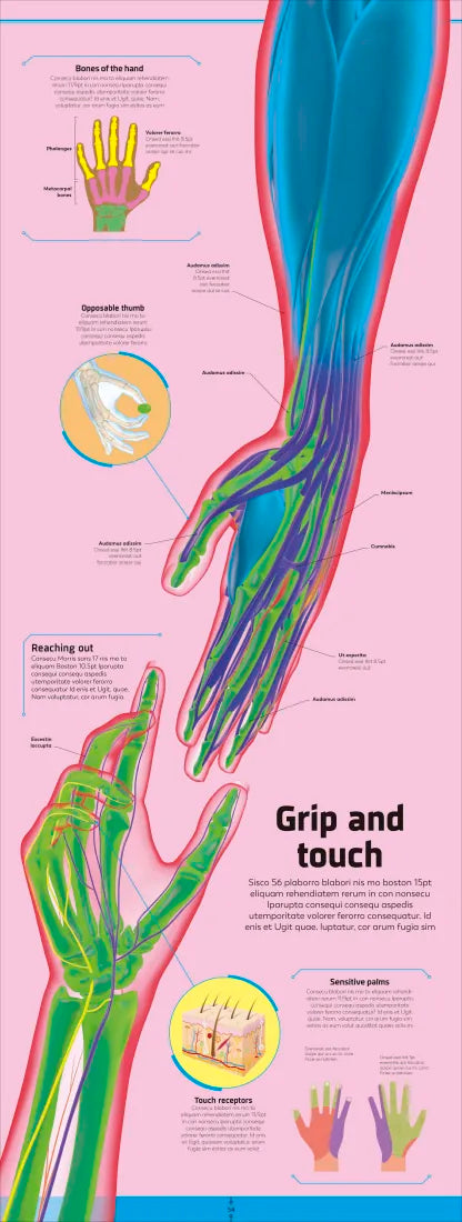 Body US - Hardback